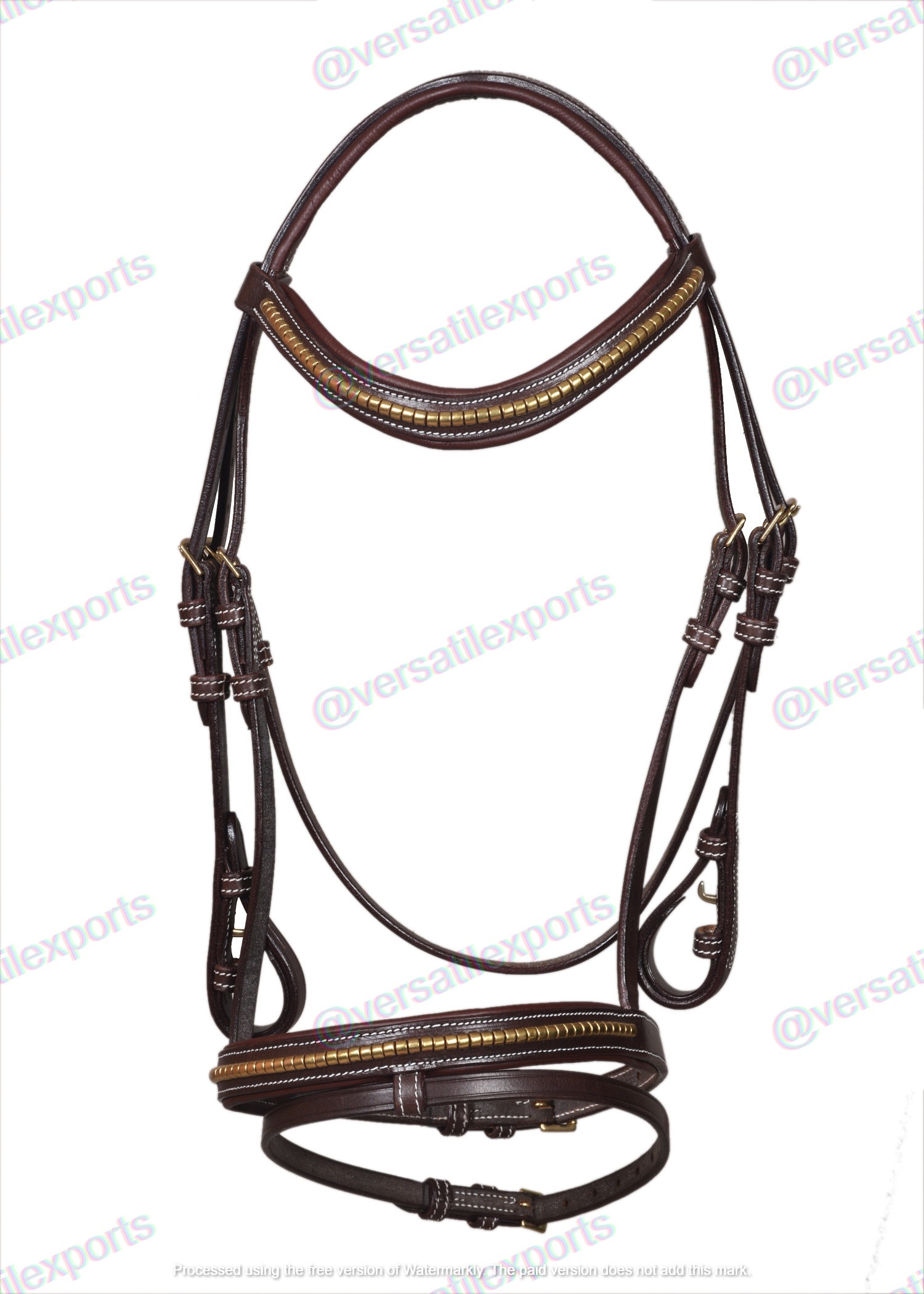 Bridle with Clinches